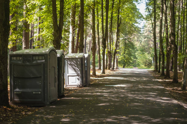 Best Portable toilet rental cost  in Madison Heights, VA